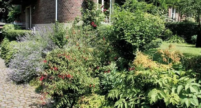 Bel Xanto Appartement Cologne