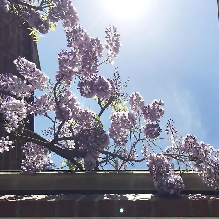 Apartmán Bel Xanto Kolín nad Rýnem