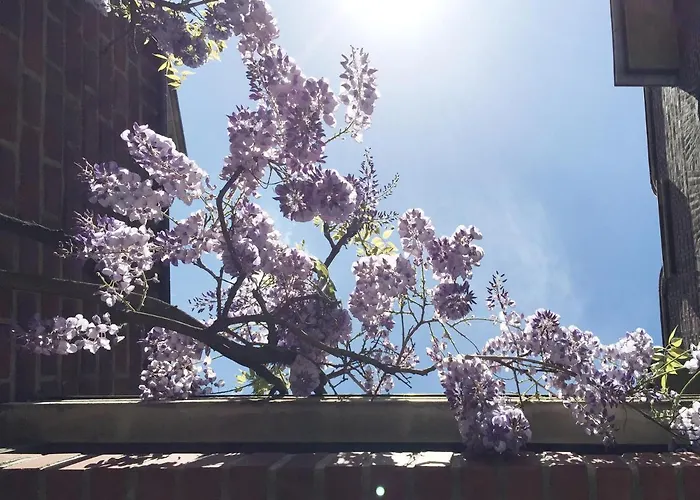 Apartmán Bel Xanto Kolín nad Rýnem