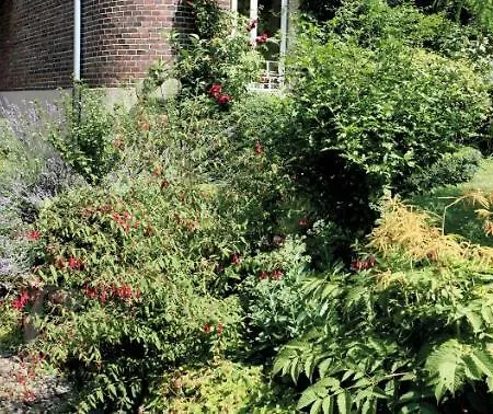Bel Xanto Appartement Cologne